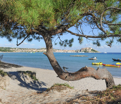 Campeggio In Corsica Calvi Haute Corse Ile Rousse